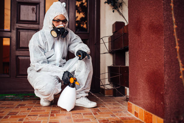 Reliable Wasp Removal contractor in Springdale, NJ by Show Me Pest Control