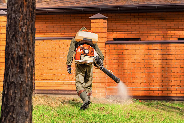 Top rated local Wasp Removal specialists in Springdale, NJ